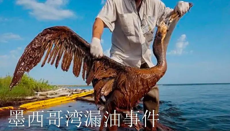 被海上溢油“染黑”的海岸线南宫NG28相信品牌的力量环保热解技术助力守护海洋生命线